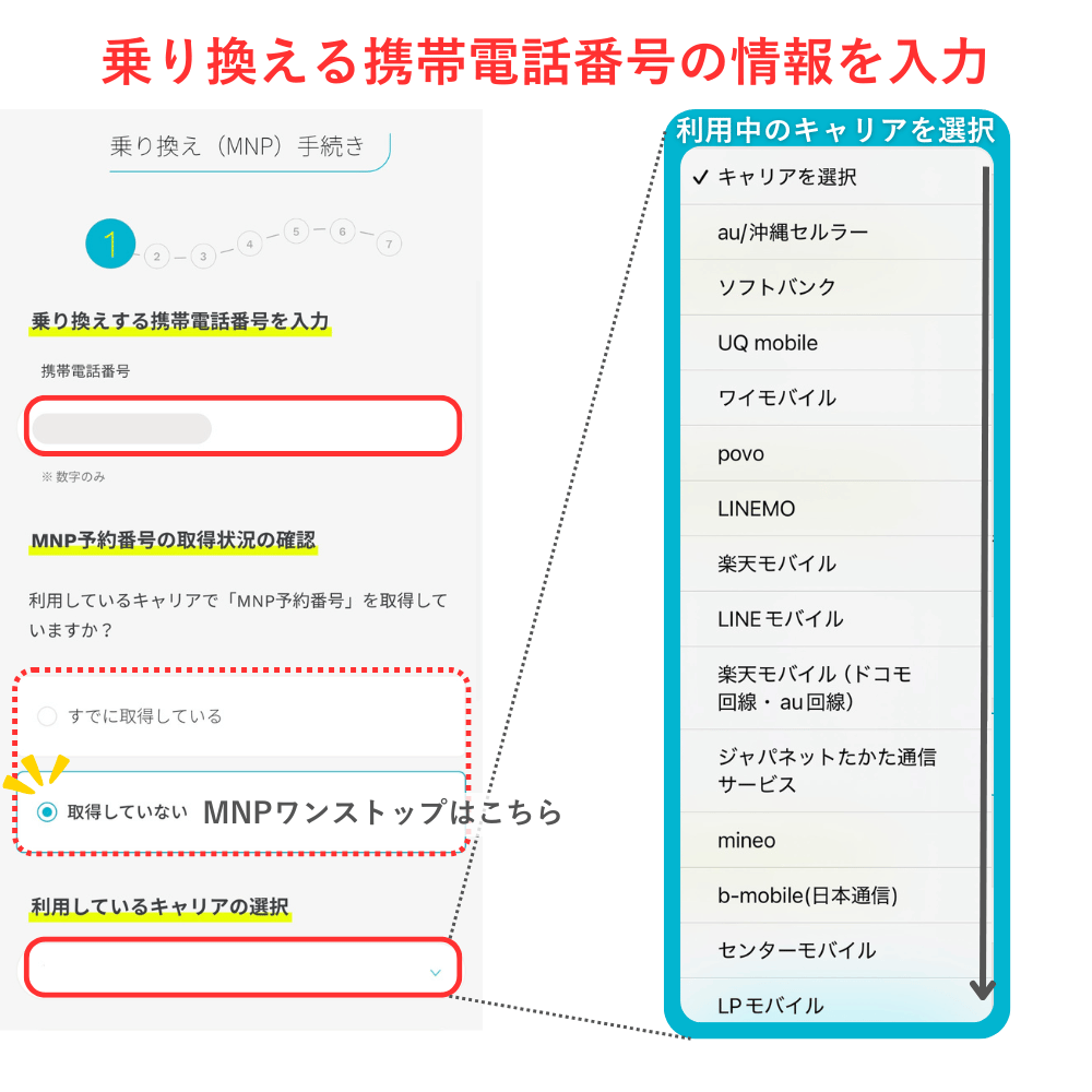 ahamoMNP_8